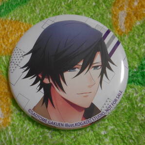 うたの☆プリンスさまっ♪ 一ノ瀬トキヤ 缶バッジ 特典