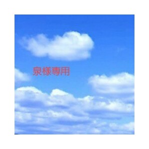 泉様の専用です。