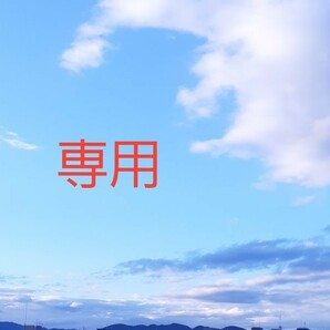 専用です。