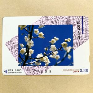 【見本券】 オレンジカード JR九州 福岡の花（梅）