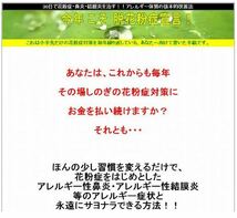 ◆３０日で花粉症・鼻炎・結膜炎を治す！！◆アレルギー体質の抜本的改善法◆（PDFファイル・164ページ）◆_画像2