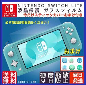 任天堂switch ライト 本体 保護フィルム ガラスフィルム