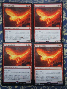 6017/アクームの火の鳥/Akoum Firebird/戦乱のゼンディカー【通常版4枚セット】/【日本語】