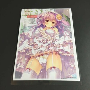 鷹乃ゆき 6 切抜き ラミネート処理品 加工品 切抜 切り抜き A4 1枚 両面　イラスト m10a