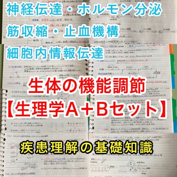 理学療法士、作業療法士国家試験、定期試験対策シリーズ【生理学A＋B】まとめセット