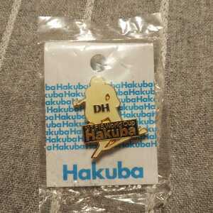 【新品未開封】 Hakuba ‘97 FIS World cup DH ピンバッジ ／ 長野県 白馬 ピンバッチ ピンズ