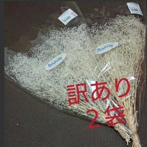 【訳あり】かすみ草 カスミ草 ホワイト 白 プリザ ドライフラワーハンドメイド はなかんむり 髪飾り スワッグ 材料 大地農園