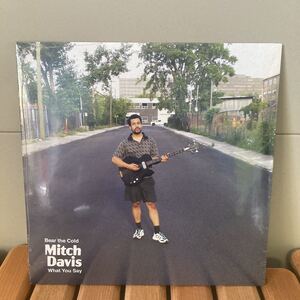 新品未使用。mitch davis、bear the cold、7インチ、インディロック、ギターポップ、indie rock