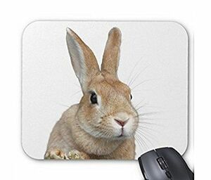  somewhat width direction. rabbit. face. mouse pad (1 pcs )( photo pad )