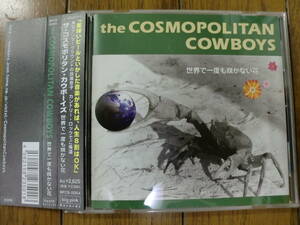 【CD】THE COSMOPOLITAN COWBOYS コスモポリタン・カウボーイズ / 世界で一度も咲かない花　日本語カントリー・パンク、TEXMEXバンド