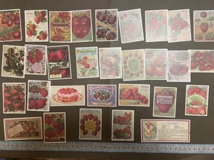 ◆海外ステッカー・シール【B5-8】30枚　いちご・苺・ストロベリー・strawberry・レトロ　手帳・日記・ジャンクジャーナル・コラージュに