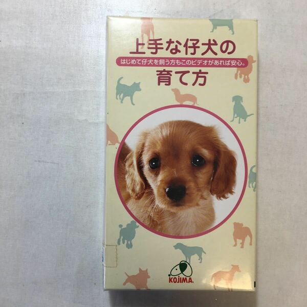 zaa-zvd12♪上手な仔犬の育て方－はじめて子犬を飼う方　 トレーナー石田正治 (編集) [VHS] ビデオ 2002/1/1 株式会社コジマ (編集)