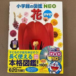 小学館の図鑑NEO 花