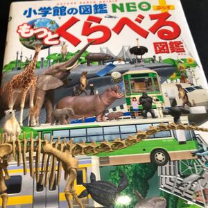 小学館の図鑑NEO+ もっとくらべる図鑑/加藤由子/馬場悠男/小野展嗣
