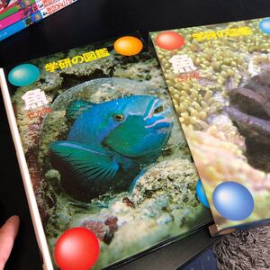 魚 学研の図鑑/学習研究