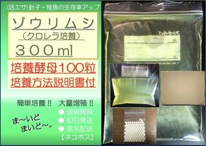 ●送料無料 匿名配送 即日発送● ゾウリムシ クロレラ培養 300ml +ビール酵母 100粒　【めだか 針子 稚魚 金魚 シュリンプ 熱帯魚】活餌