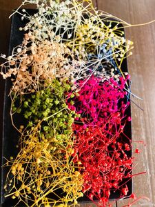 ミニかすみ草8色詰合せ プリザーブドフラワー 花材 ハンドメイド 小花 かすみ草 ハーバリウム花材 サシェ