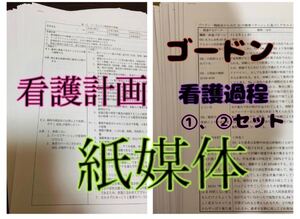 看護計画 ★ ゴードン 看護過程 セット (^^)