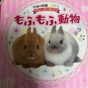 もふもふ動物図鑑