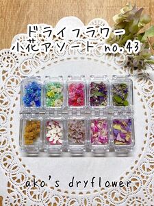ドライフラワー 小花アソート no.43 ケース付き♪