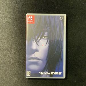 シルバー2425 Nintendo Switch
