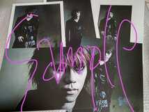 DIR EN GREY DUM SPIRO SPERO ポートレート 日本武道館 限定 B①/検 sukekiyo 京 薫 Toshiya Tシャツ ポスター タオル PHALARIS 19990120_画像3