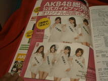 ★良品★AKB48総選挙 公式ガイドブック2013★AKB48★美女★美乳★美尻★美脚★水着★_画像10