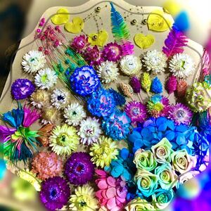 ( K 大箱 ) 加工 プリザーブドフラワー ハーバリウム ドライフラワー 薔薇 貝細工 ソーラーフラワー
