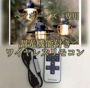 テントペグ 鍛造 ペグ セット 12本 30cm スチールペグ ソリッド 硬い土 砂地 草地用 タープペグ 夜光リング付き