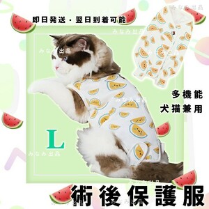 新入荷 猫犬 術後服 ウェア 離乳 避妊　手術 雄雌 エレザべスカラー西瓜柄L