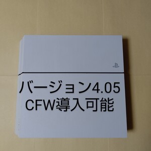PlayStation 4 本体のみ PS4 500GB ホワイト CUH-1200AB02 バージョン4.05 CFW導入可能