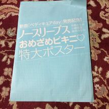 FRIDAY2012年1月20日号付録ノースリーブス(高橋みなみ・小嶋陽菜・峯岸みなみ)おめざめビキニポスターのみ_画像1