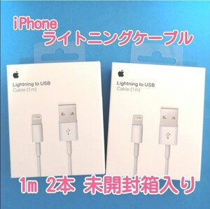 iPhone ライトニングケーブル 1m 2本 箱入り