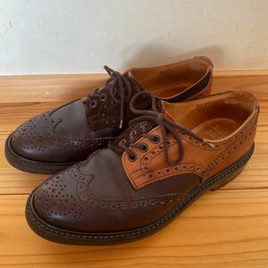 Nepenthes×Tricker's