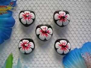 * Hawaii! new the first arrival kki nuts * large floral print hibiscus * pearl white 5 piece 