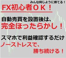 【コロナ抑制祈願63％OFF】本気のセミリタイヤ。ほったらかしで月利７％の自動売買ＦＸ。FX初心者OK!_画像3