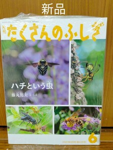 たくさんのふしぎ ハチという虫 2021年6月