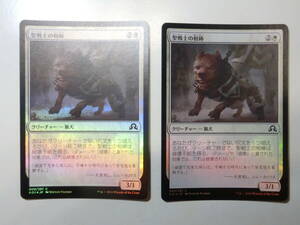 【MTG】★Foil　聖戦士の相棒　日本語2枚セット　イニストラードを覆う影　SOI　コモン