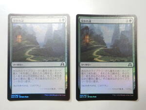 【MTG】★Foil　分かれ道　日本語2枚セット　イニストラードを覆う影　SOI　コモン