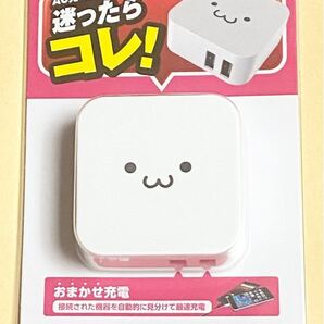 充電器 ACアダプター 折畳式プラグ USBポート×2 ホワイトフェイス