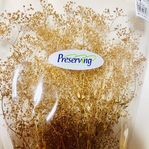 かすみ草 大地農園 プリザーブドフラワー