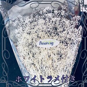 かすみ草 大地農園 プリザーブドフラワー ハーバリウム花材