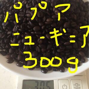 こだわりコーヒー豆 パプア・ニューギニア ダイガットSP 300g 自家焙煎珈琲 シティロースト 中深煎り ★フルーティな味わい