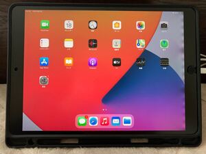 iPad Pro 10.5 Wi-Fiモデル 64GB スペースグレー