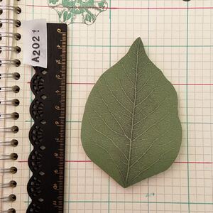 c/c SALE 送料無料 1冊 50枚 葉っぱのメモパッド 付箋 葉 リアル ボタニカル 植物 メモ帳 紙もの