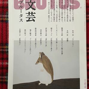 雑誌「BRUTUS 2012年12月号 文芸ブルータス」有川浩 舞城王太郎 いとうせいこう 伊坂幸太郎 西村賢太 堀江敏幸 万城目学の画像1