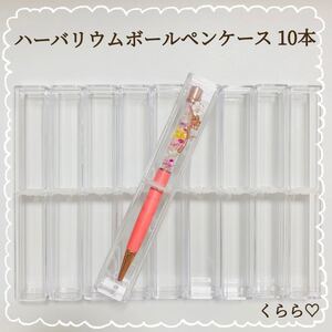 大人気 ハーバリウム ボールペンケース 10本 クリア ギフト ハンドメイド