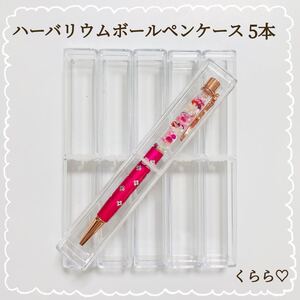 大人気 ハーバリウム ボールペンケース 5本 クリア ギフト ハンドメイド