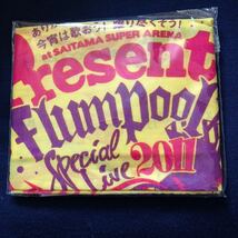 flumpool フランプール　present CD初回限定版　特典バンダナ_画像1