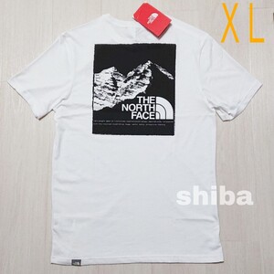 THE NORTH FACE ノースフェイス tシャツ 半袖 ホワイト 白 マウンテングラフィック Graphic 海外XLサイズ